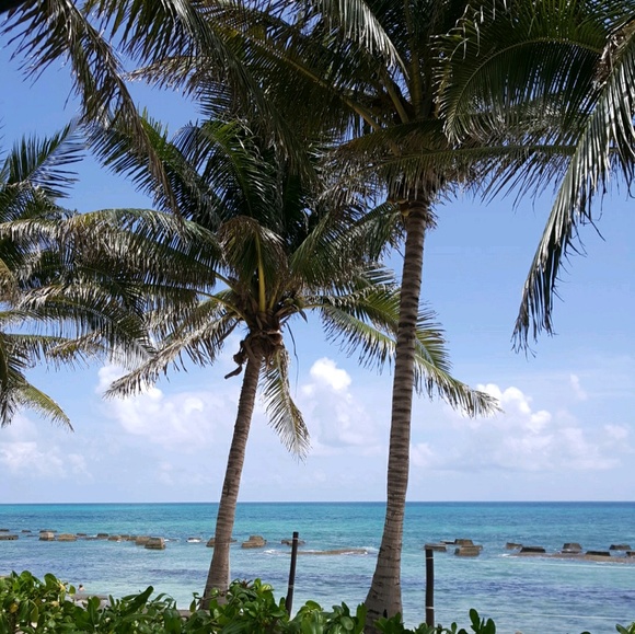 Meet your Posher, Shelley - Picture 1 of 1